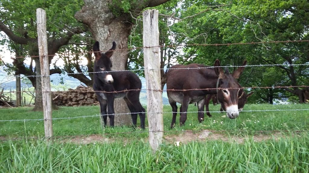 Casa Rural Urkulu Landetxea アレチャバレタ エクステリア 写真