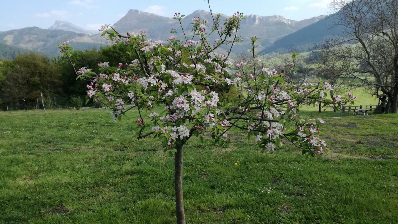 Casa Rural Urkulu Landetxea アレチャバレタ エクステリア 写真